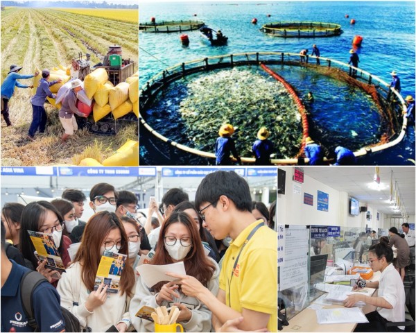 Nông nghiệp phục hồi, công nghiệp tăng trưởng mạnh, doanh nghiệp thành lập mới tiếp tục bứt tốc